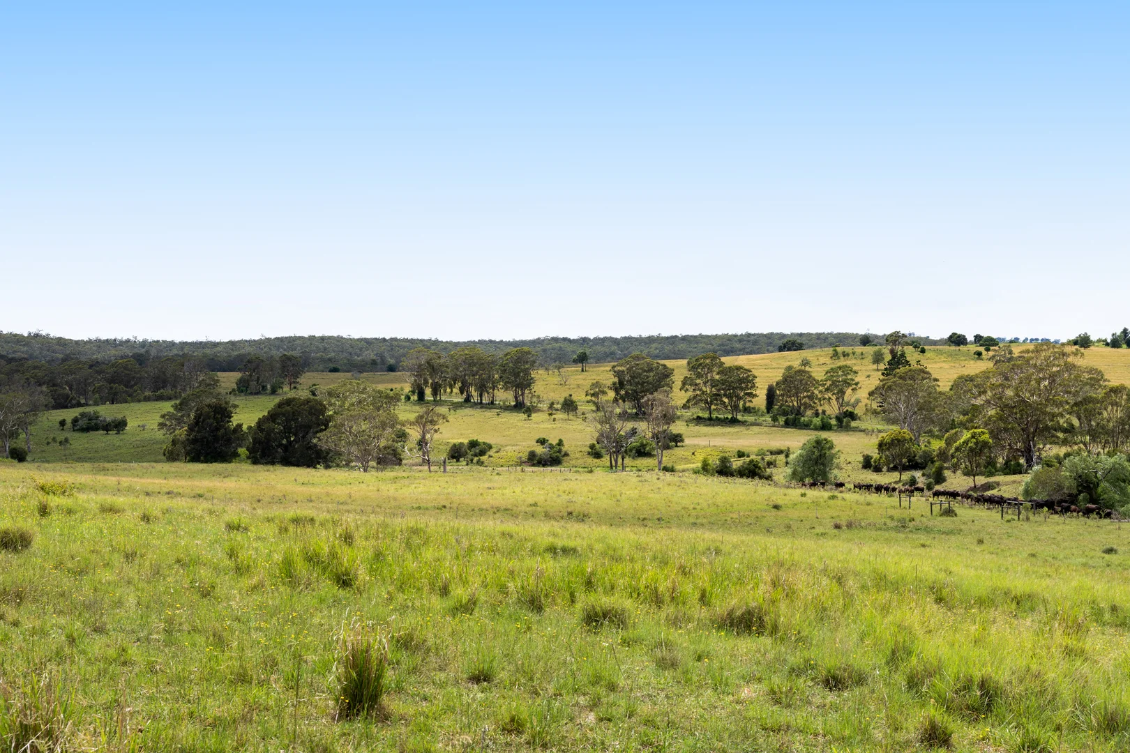 Additional image 15 of 138 Djuan Road, Crows Nest QLD 4355