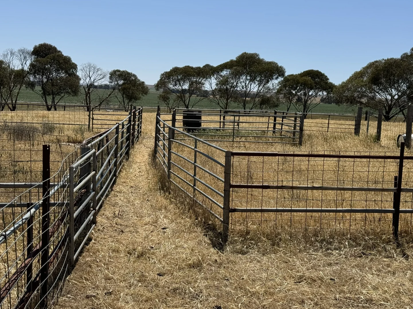 Additional image 40 of 1 Tohls Road, Booborowie SA 5417