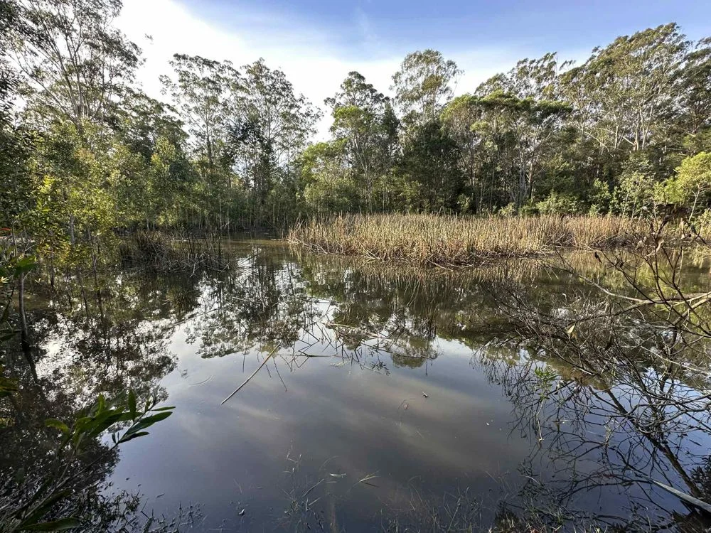 Additional image 3 of Lot 1 Inches Road, Verges Creek NSW 2440