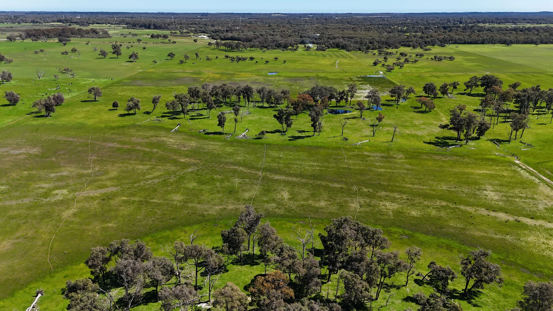 Additional image 13 of 39 Gibbs Road, Uduc WA 6220