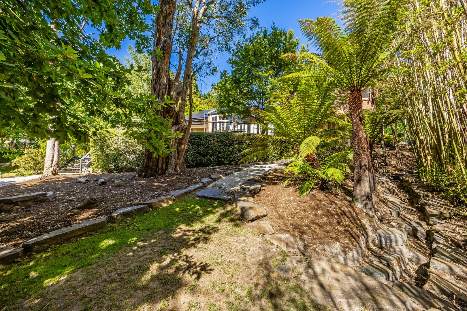 Additional image 66 of 15 Longwood Road, Stirling SA 5152