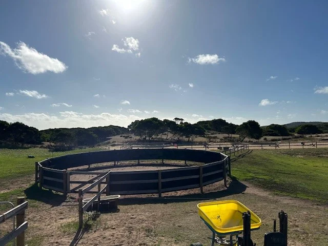 Additional image 26 of 270 South Road, Nugara TAS 7256