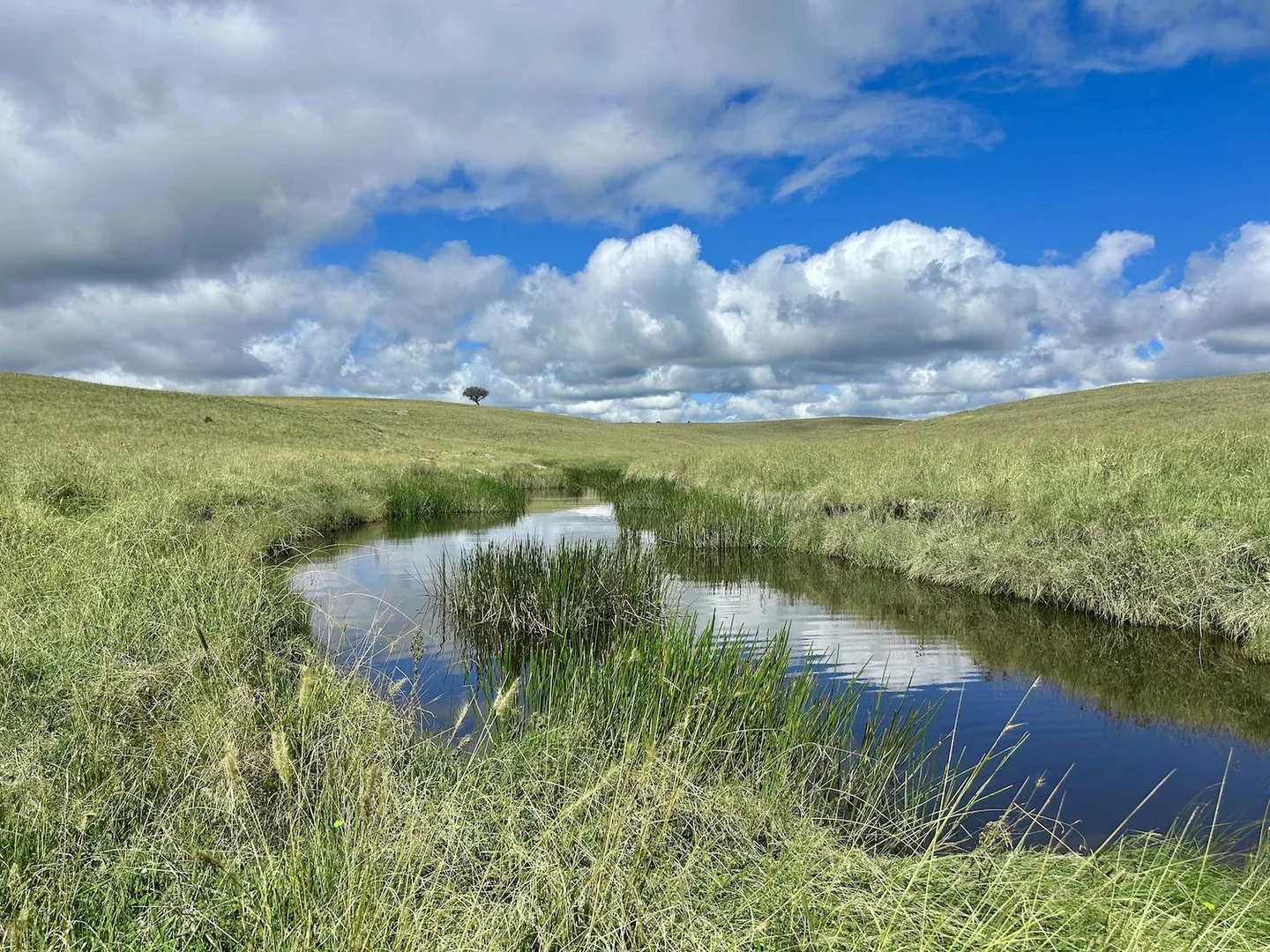 Additional image 16 of 1815 Hillview Road, Uralla NSW 2358