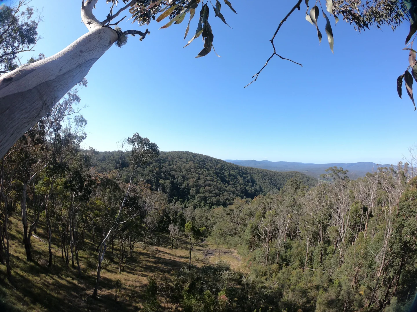 Additional image 2 of Lot 73 Lillipilli Close, Booral NSW 2425