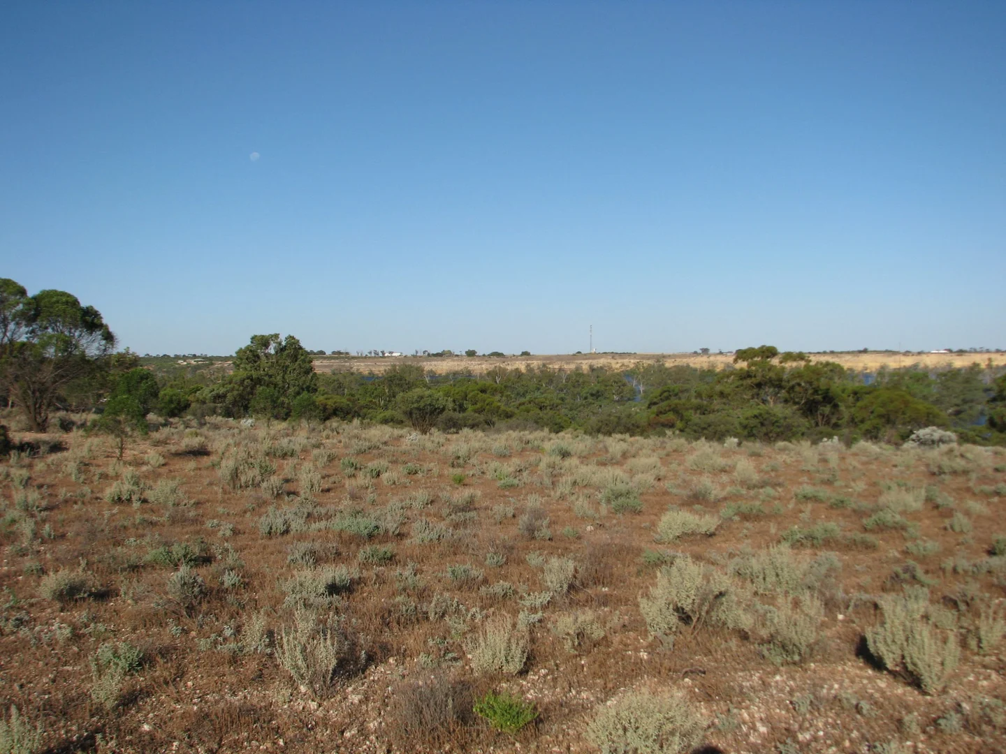 Additional image 12 of lot 1000 Merivale Street, Blanchetown SA 5357