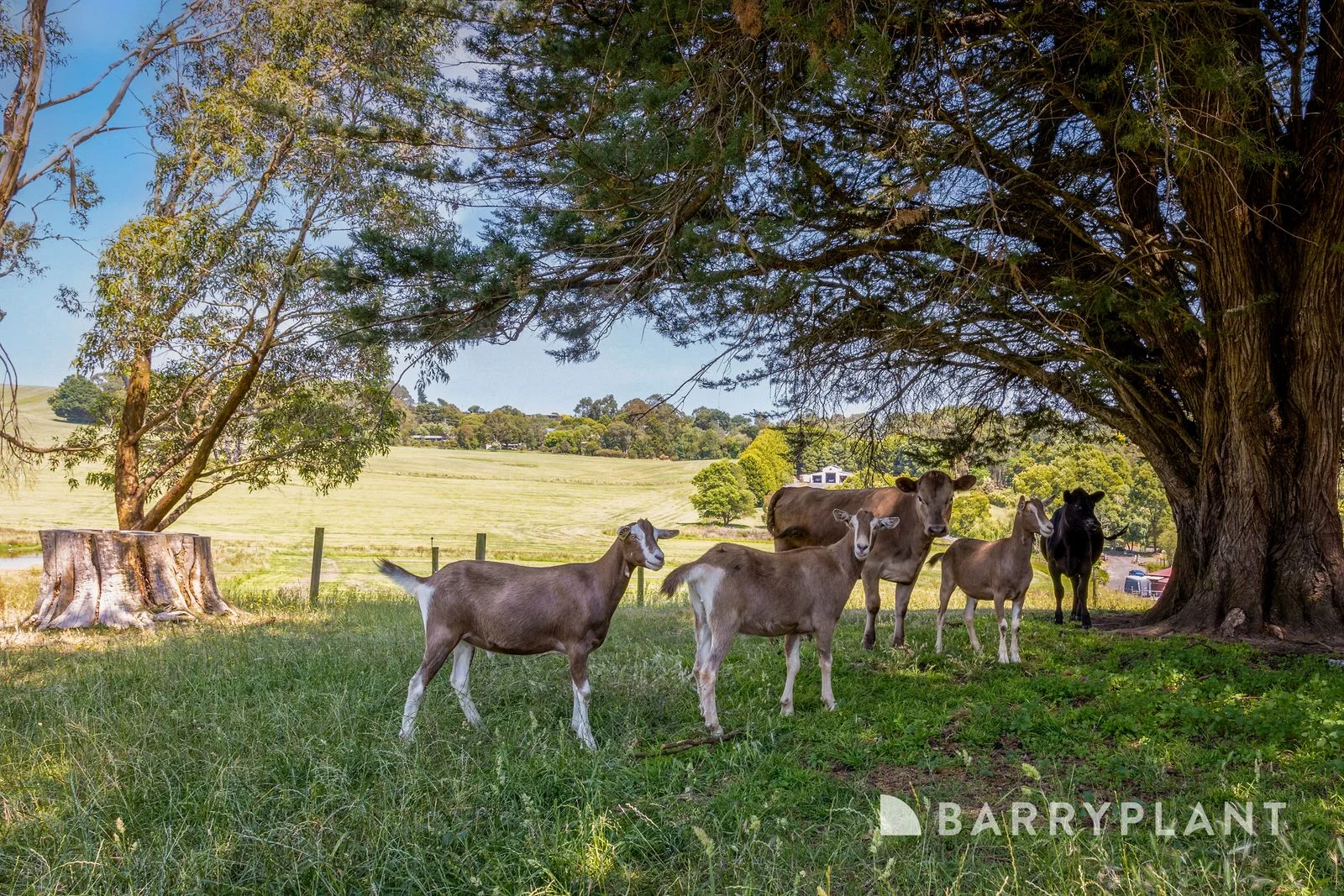 Additional image 16 of 15 Miles Court, Korumburra VIC 3950