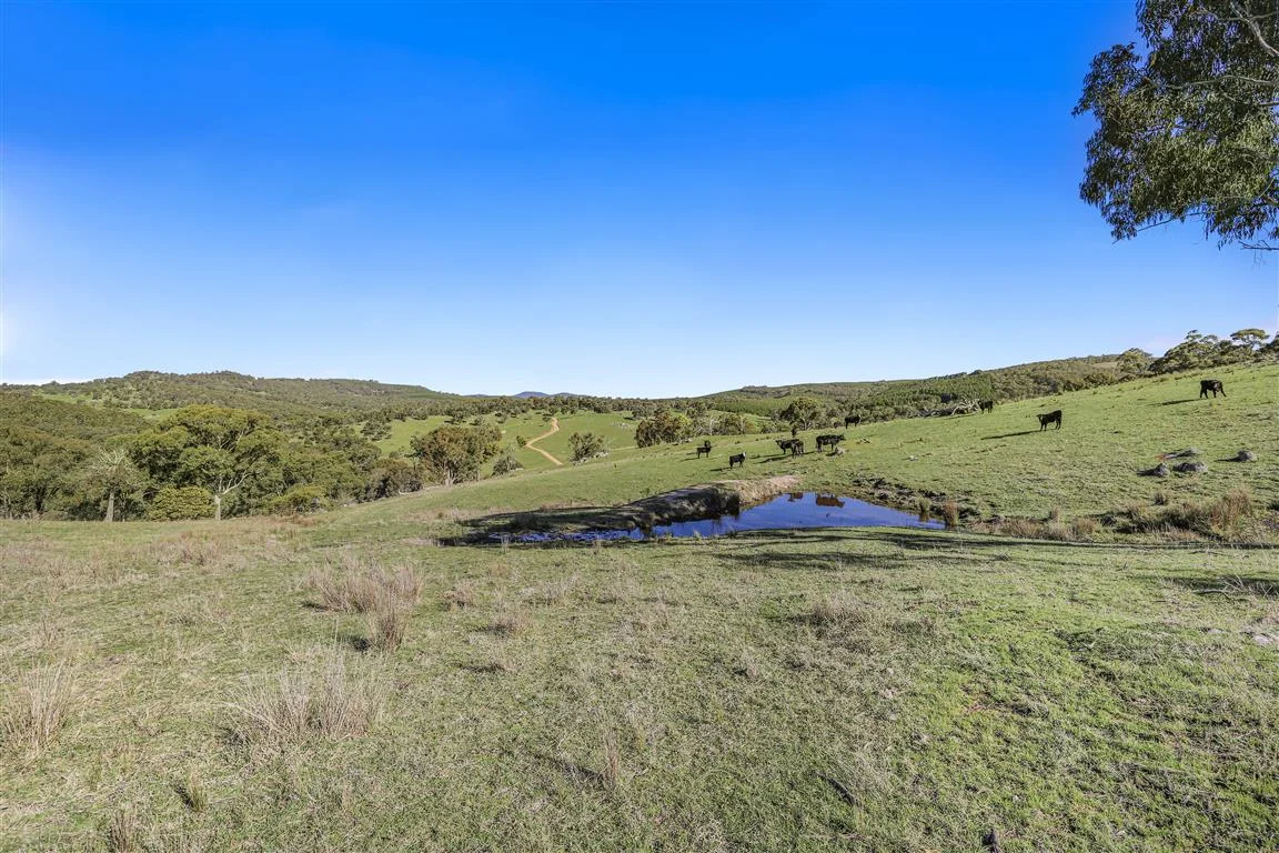 Additional image 21 of 221 Adjungbilly Village Road, Adjungbilly NSW 2727