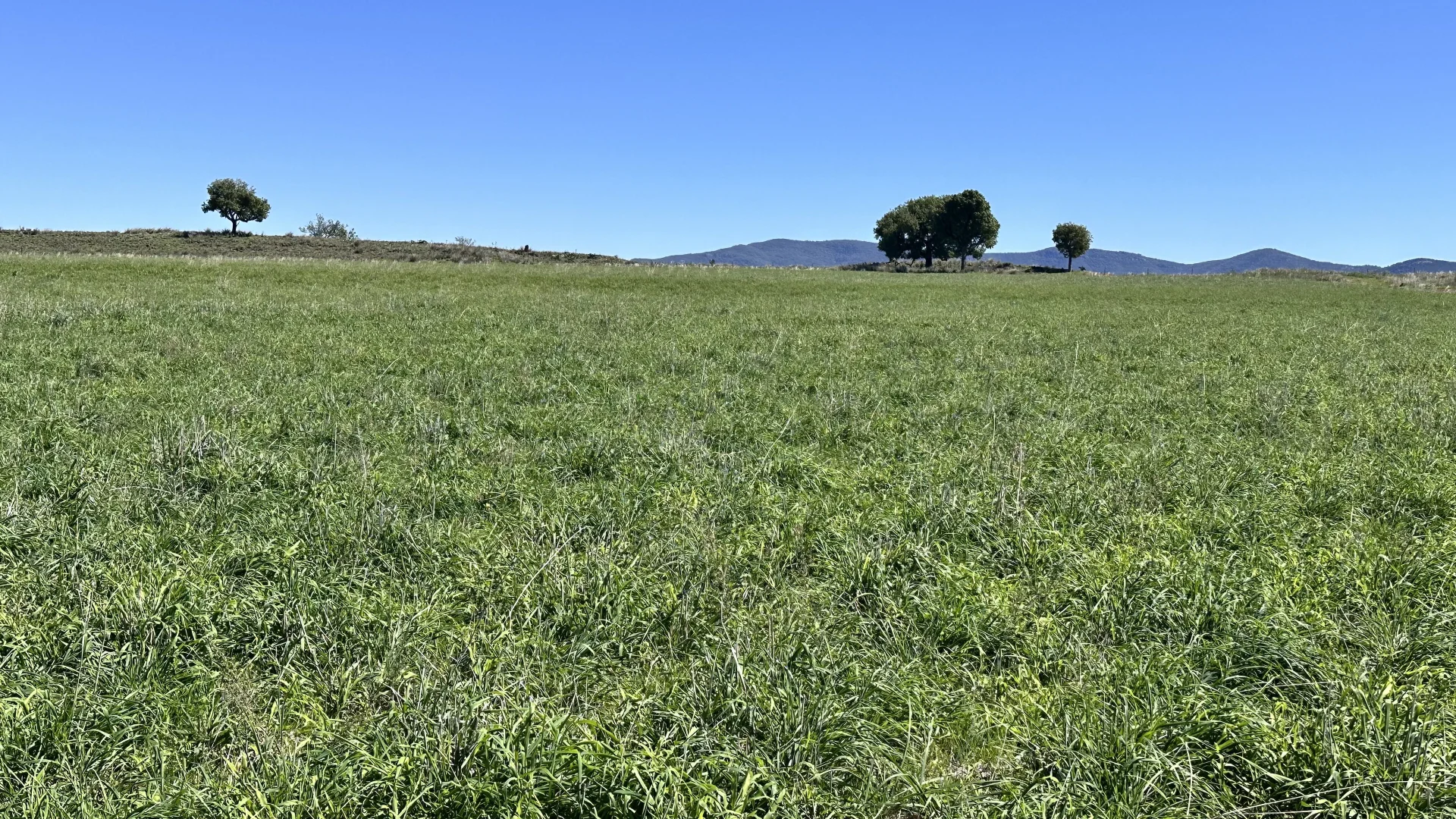 Additional image 11 of 450 Bridges Road, Gunnedah NSW 2380