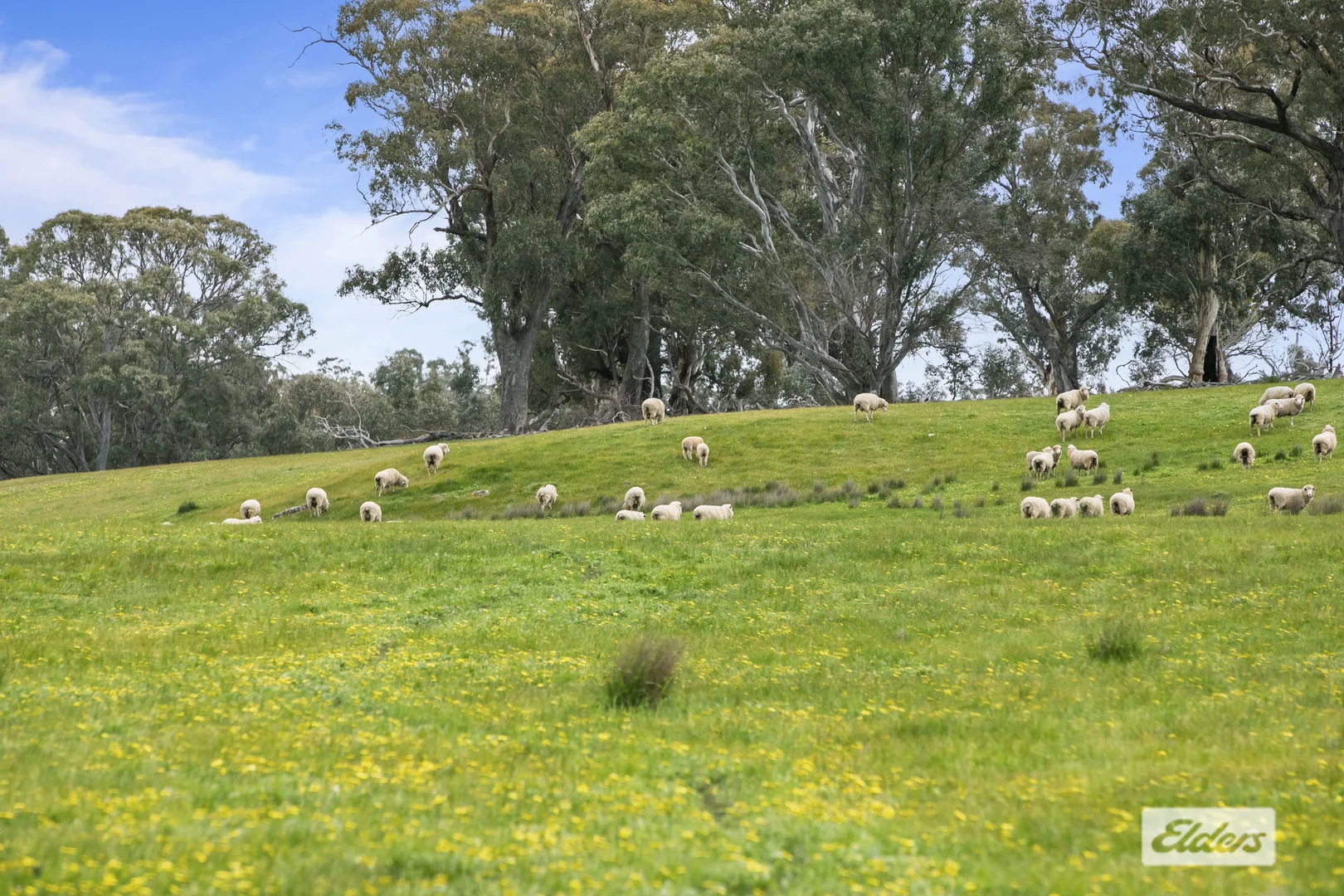 Additional image 30 of CA 18,92,9 Raeburn Road, Paradise VIC 3477