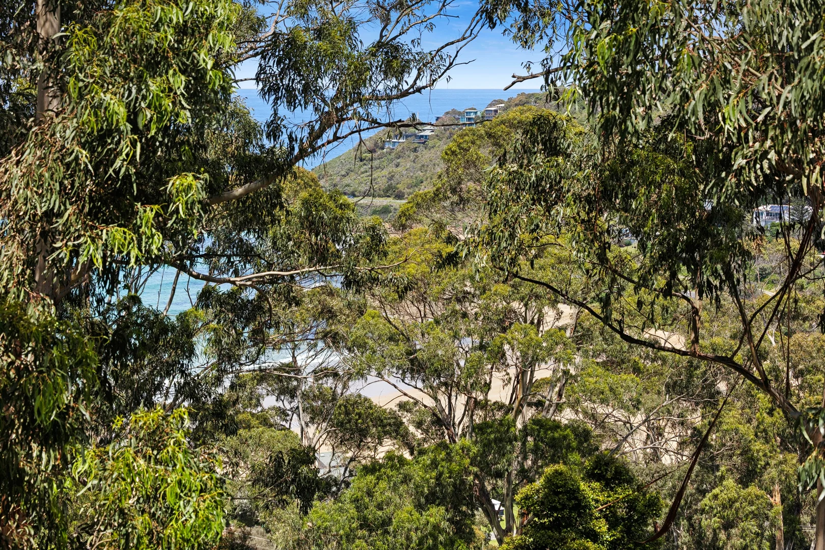 Additional image 5 of 8 Durimbil Avenue, Wye River VIC 3234