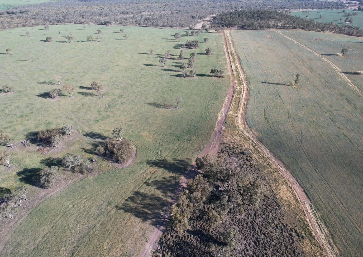 Additional image 16 of 1404 Lake Cowal, Forbes NSW 2871