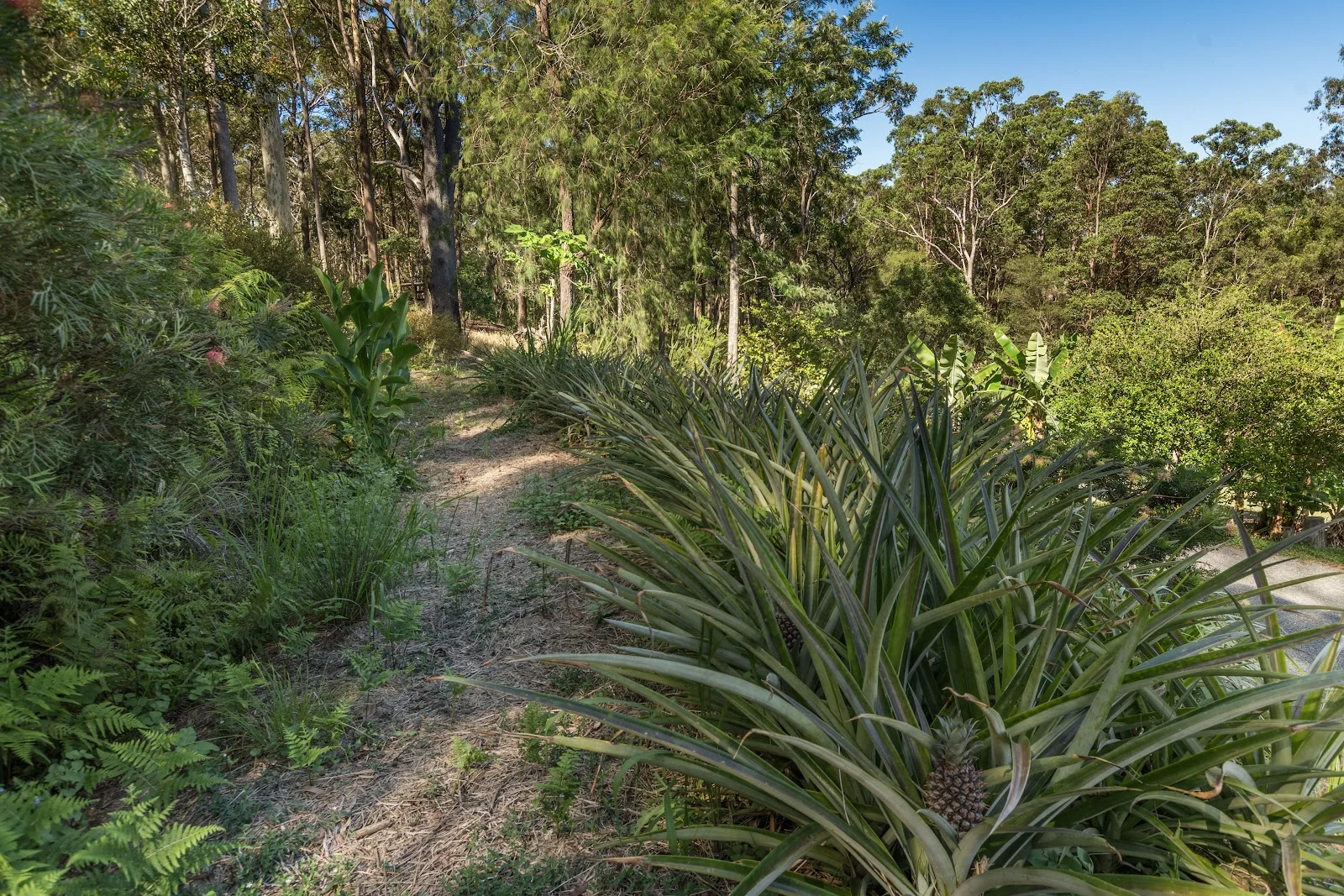 Additional image 20 of 293 Stewart Road, Coondoo QLD 4570