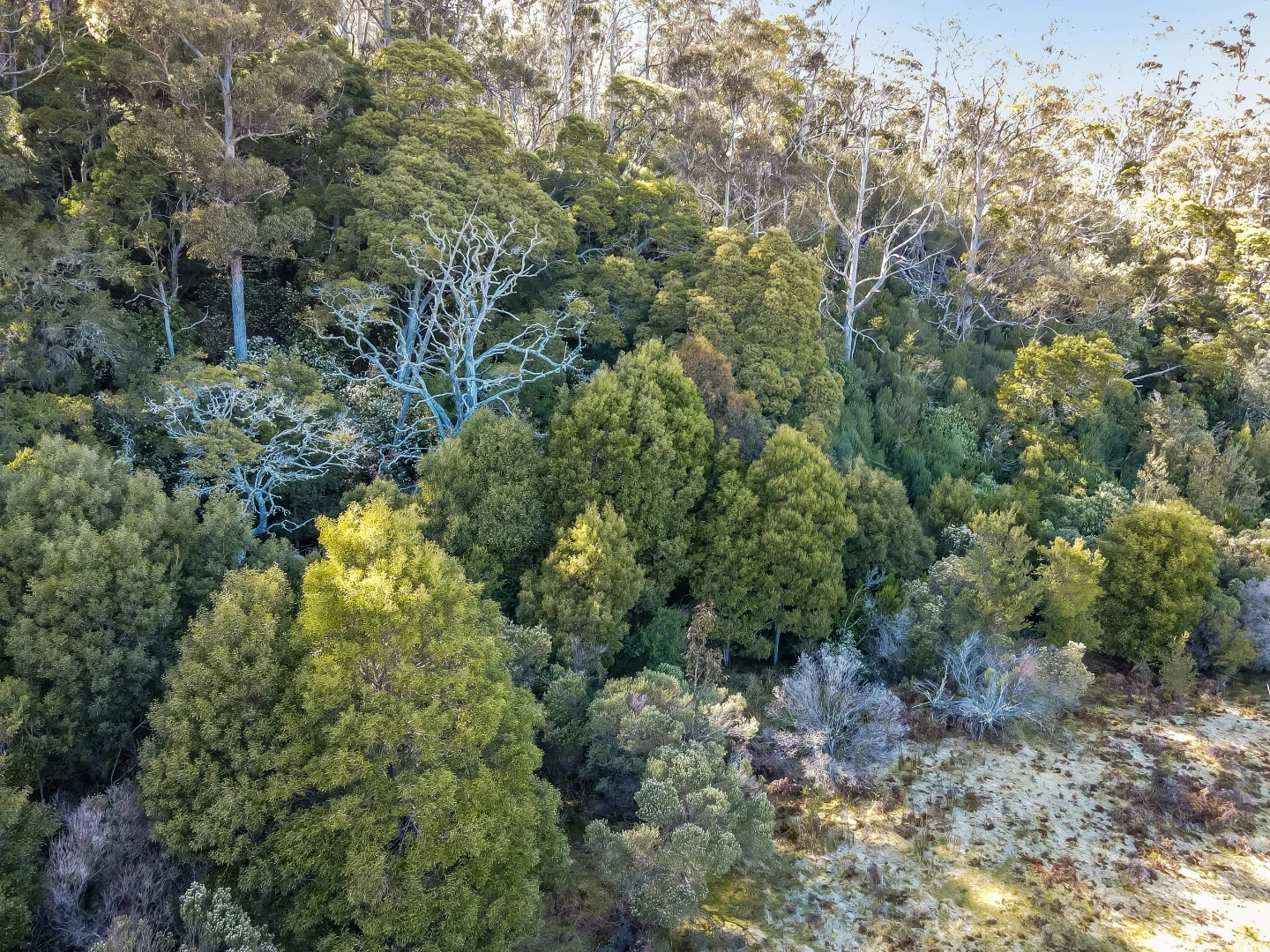 Additional image 3 of Curtis Rd, St Marys TAS 7215