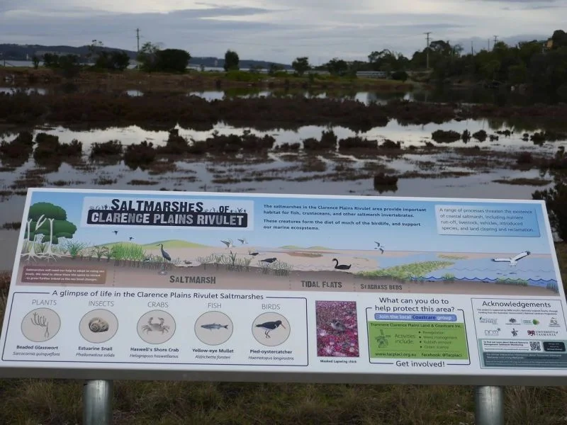 Additional image 16 of Lot 141 Enchantress Street, Rokeby TAS 7019