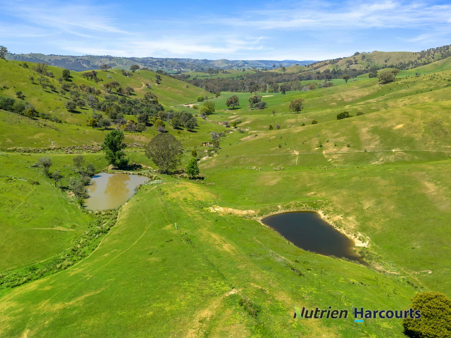 Additional image 15 of 356 Mcnallys Road, Strath Creek VIC 3658