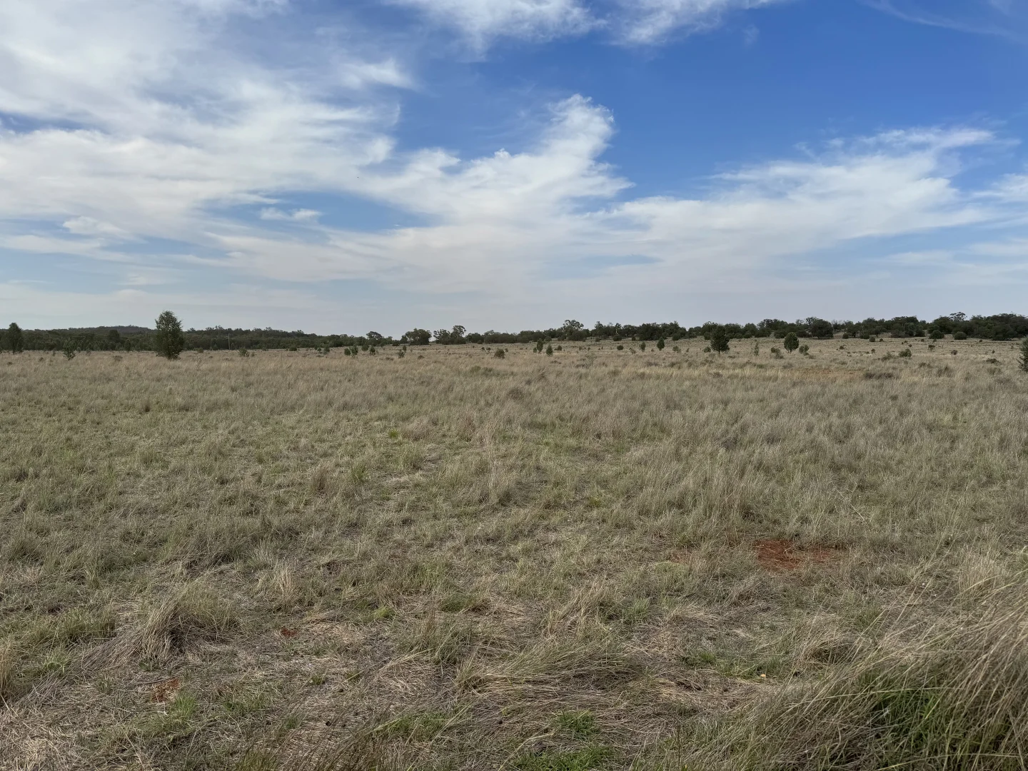 Additional image 12 of 2823 Hermidale Nymagee Road, Hermidale NSW 2831