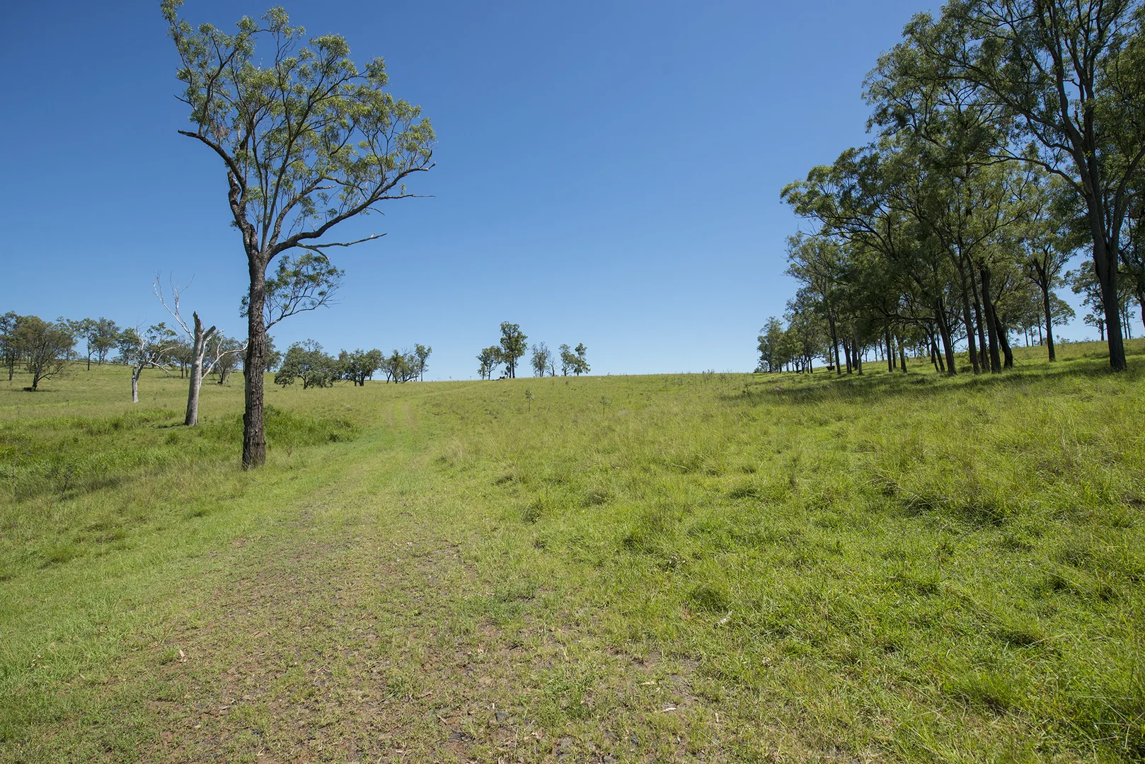 Additional image 6 of Corner Tralee & Waines Road, Mount Walker West QLD 4340
