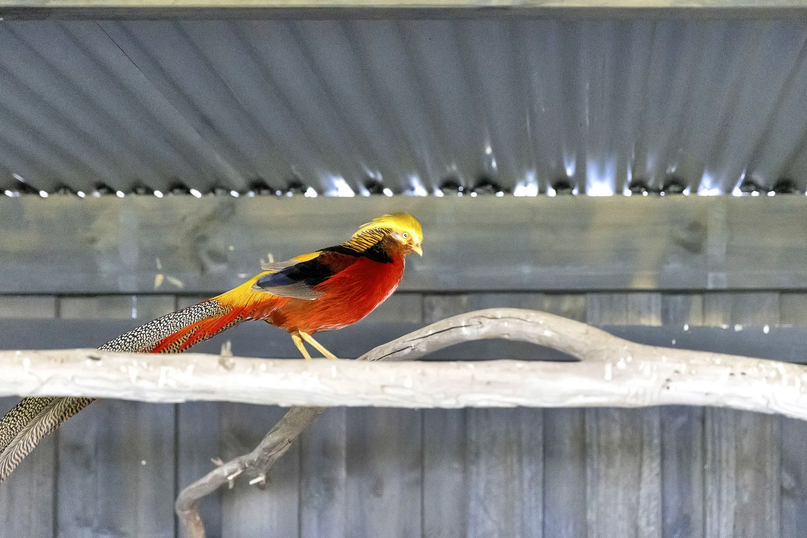 Additional image 17 of 120 Narraburra Road, Little River VIC 3211