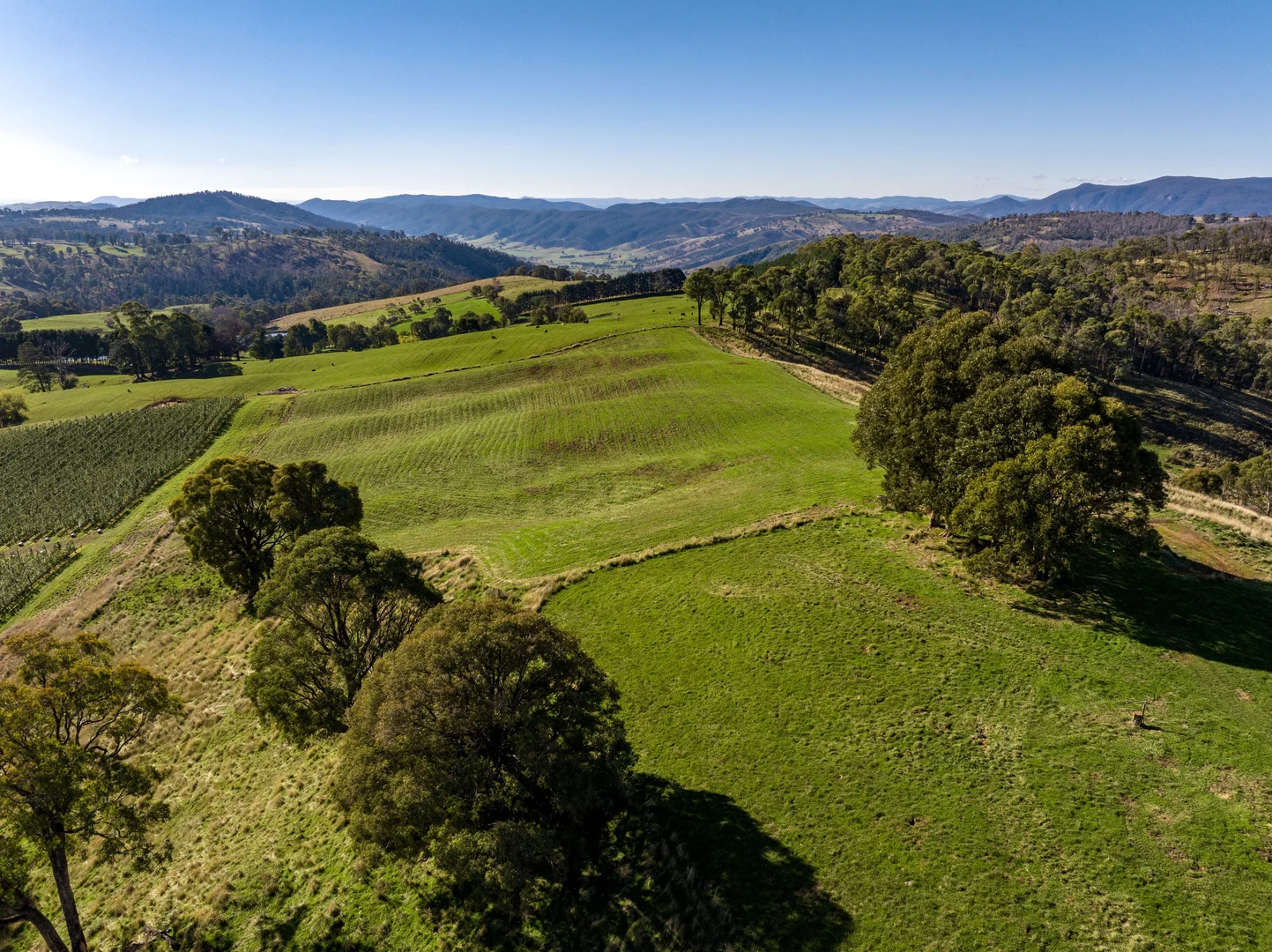 Additional image 14 of 'Gilmore Braes' 1 Forsters Road, Batlow NSW 2730