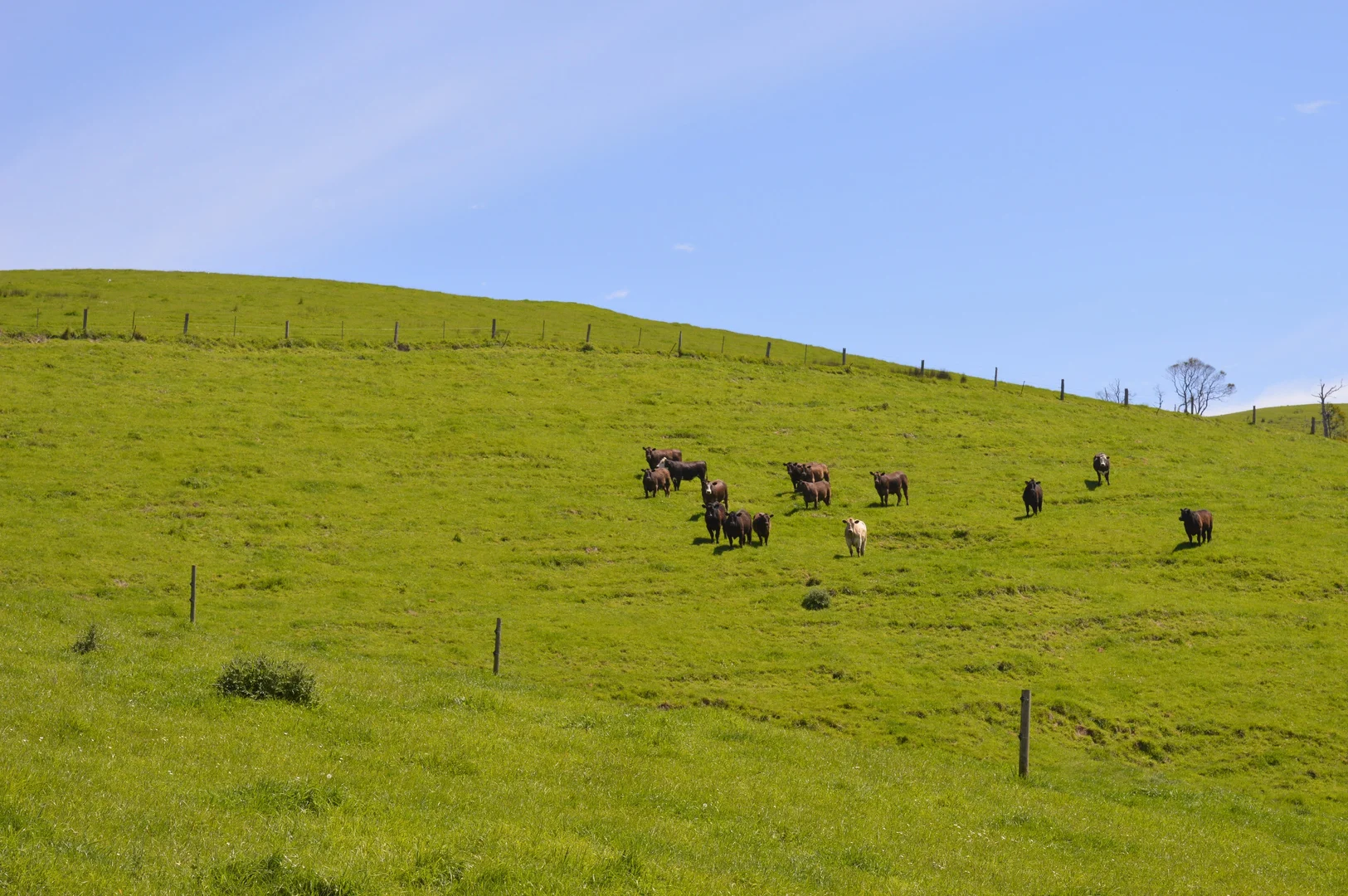 Additional image 33 of 365 Limonite Road, Boolarra South VIC 3870
