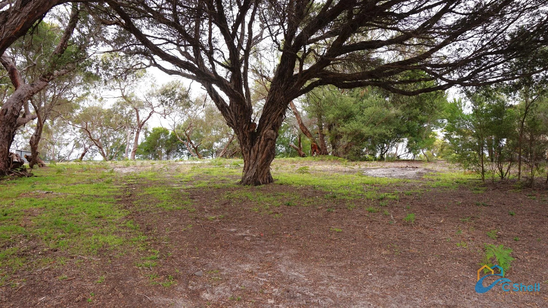 Additional image 4 of 56 Goodlett Avenue, Loch Sport VIC 3851