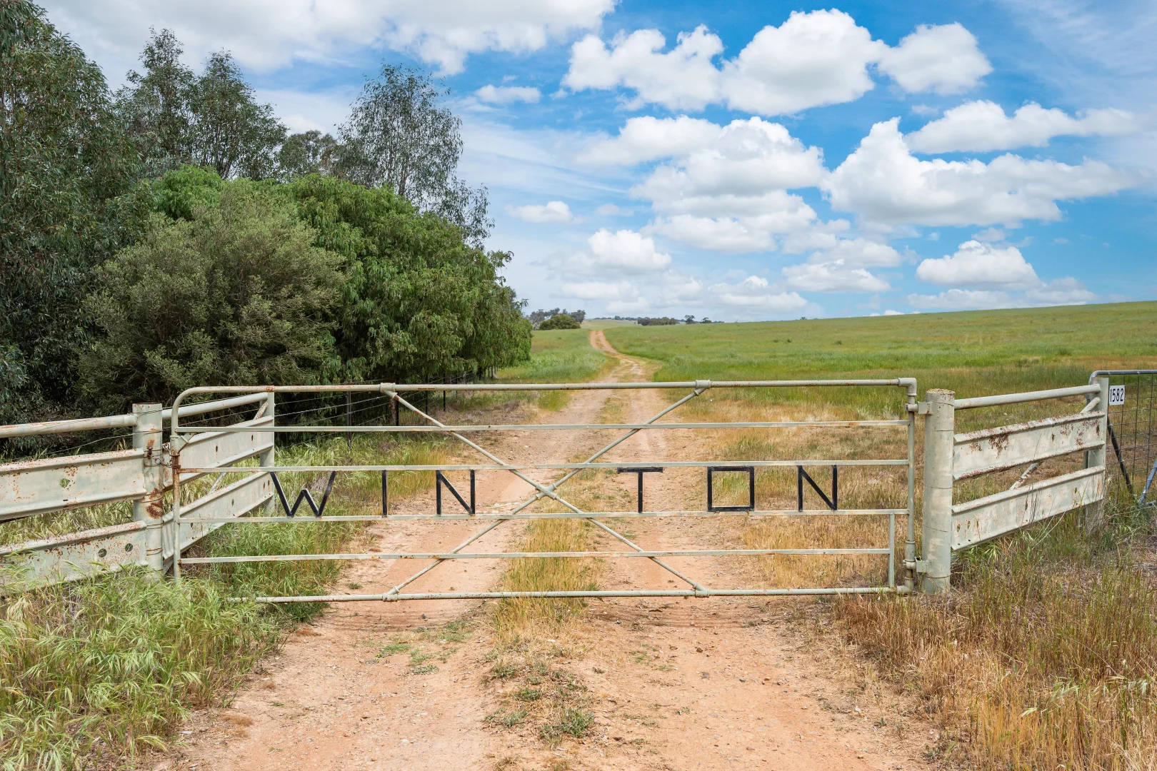 Additional image 15 of 1470 Yerong Creek Mangoplah Road, Mangoplah NSW 2652