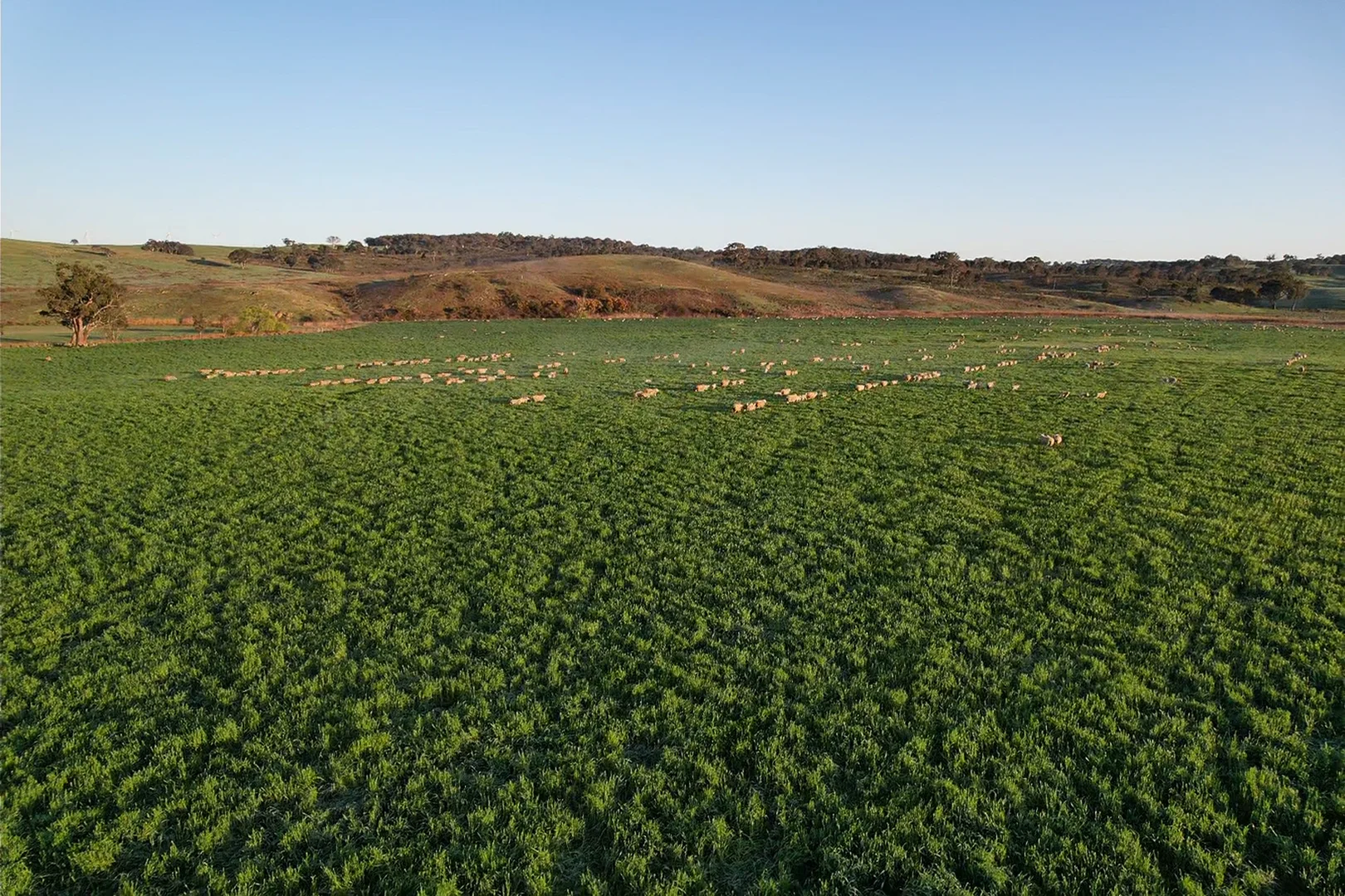 Additional image 9 of 569 & 640 Blakney Creek North Road, Blakney Creek NSW 2581