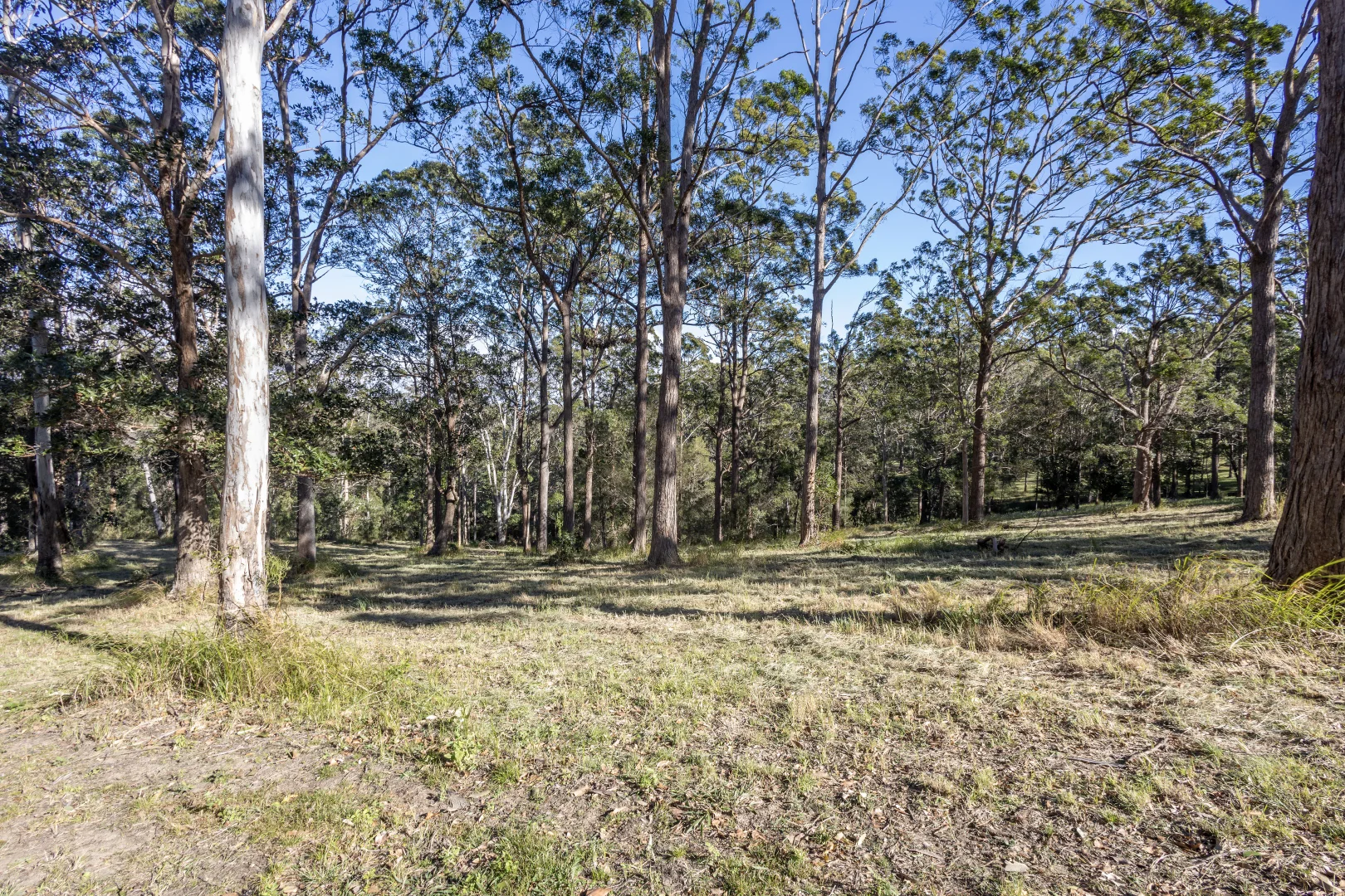 Additional image 7 of Ocean View QLD 4521