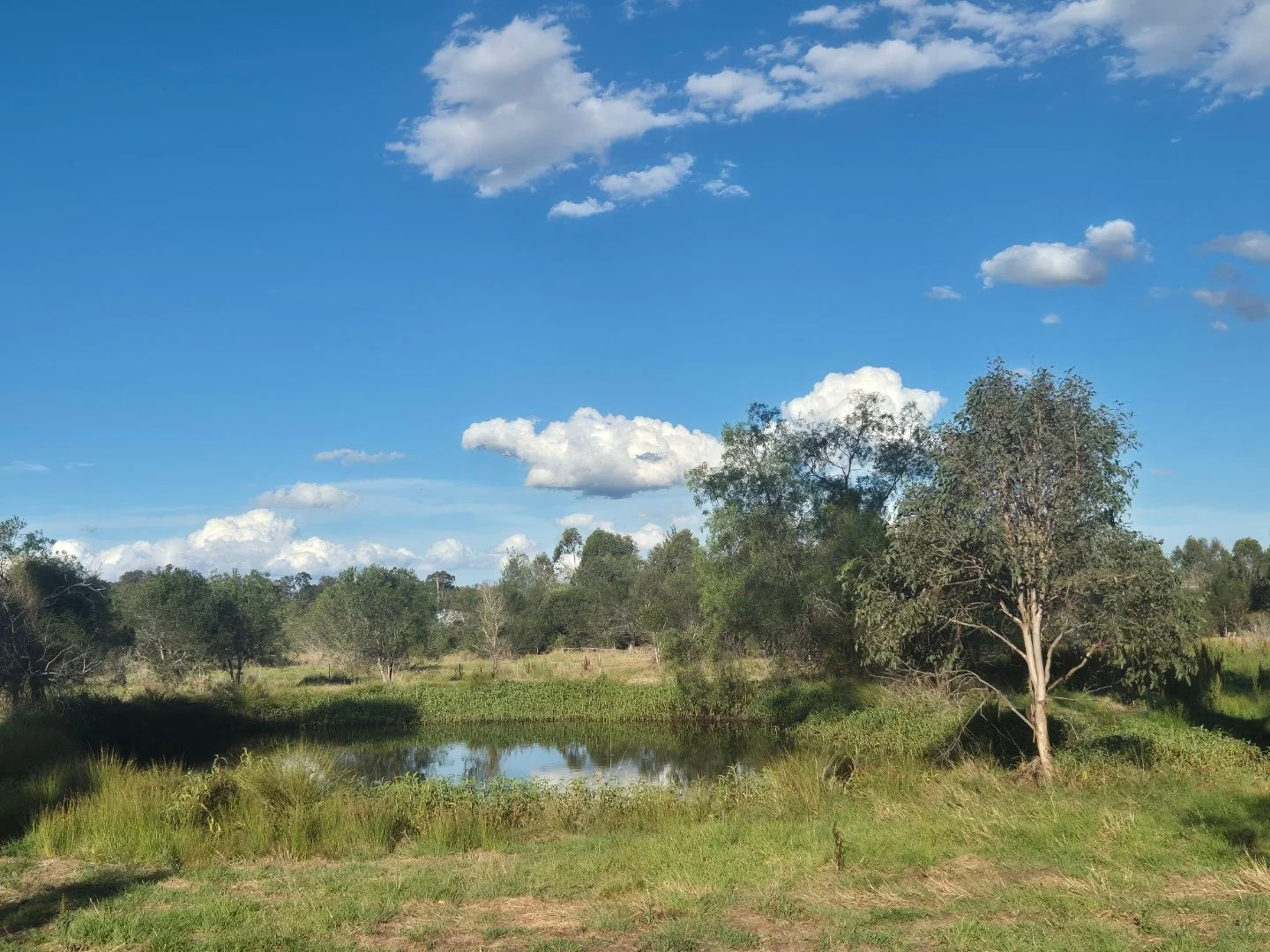 Additional image 3 of Marburg QLD 4346