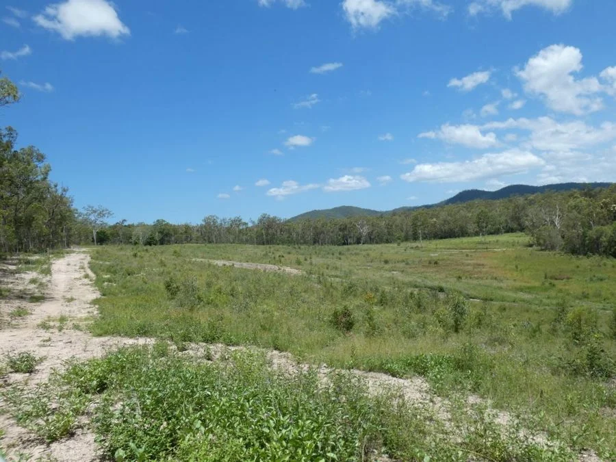 Additional image 3 of Lot 41 Moolyung Road, Waterloo QLD 4673