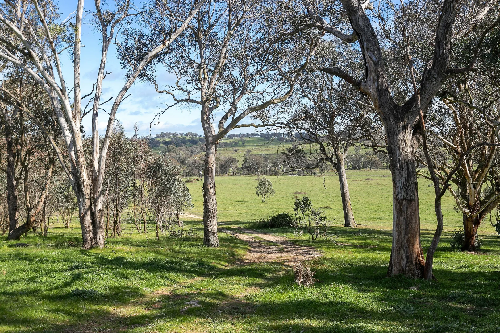 Additional image 12 of 257 Stadtmillers Lane, Bowning NSW 2582