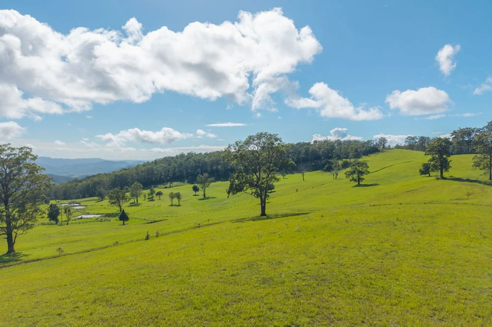 Additional image 17 of 669 Costigans Road, Yarras NSW 2446