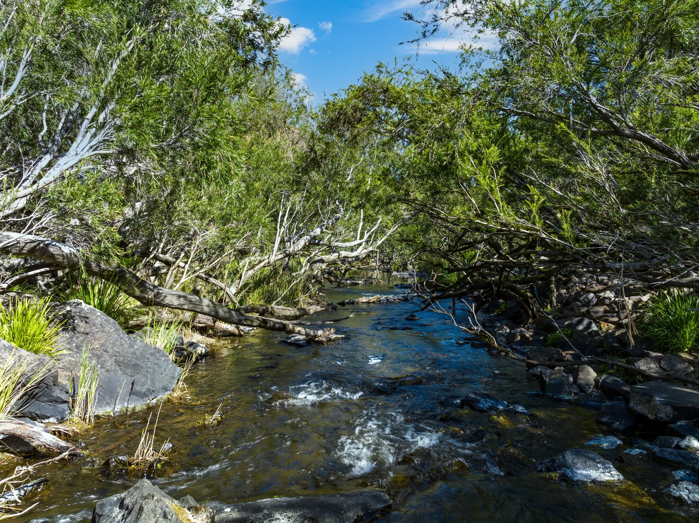 Additional image 20 of Lot 201 Paddys Flat Road, Tooloom NSW 2475