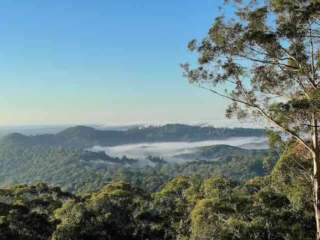 Additional image 28 of 150 Koonyum Range Road, Wilsons Creek NSW 2482