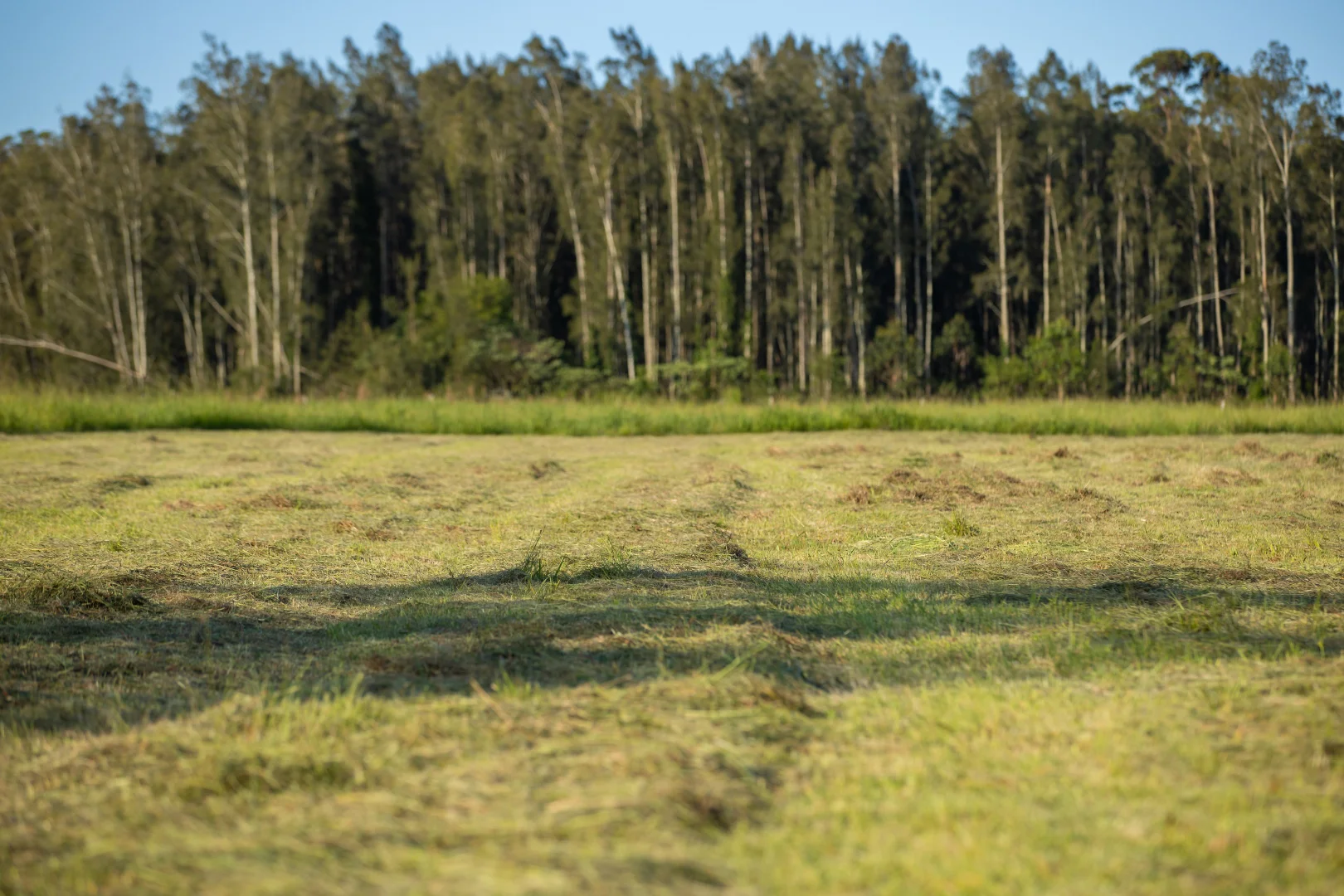 Additional image 21 of 79, 81 & 249 Elliots Road, Nabiac NSW 2312