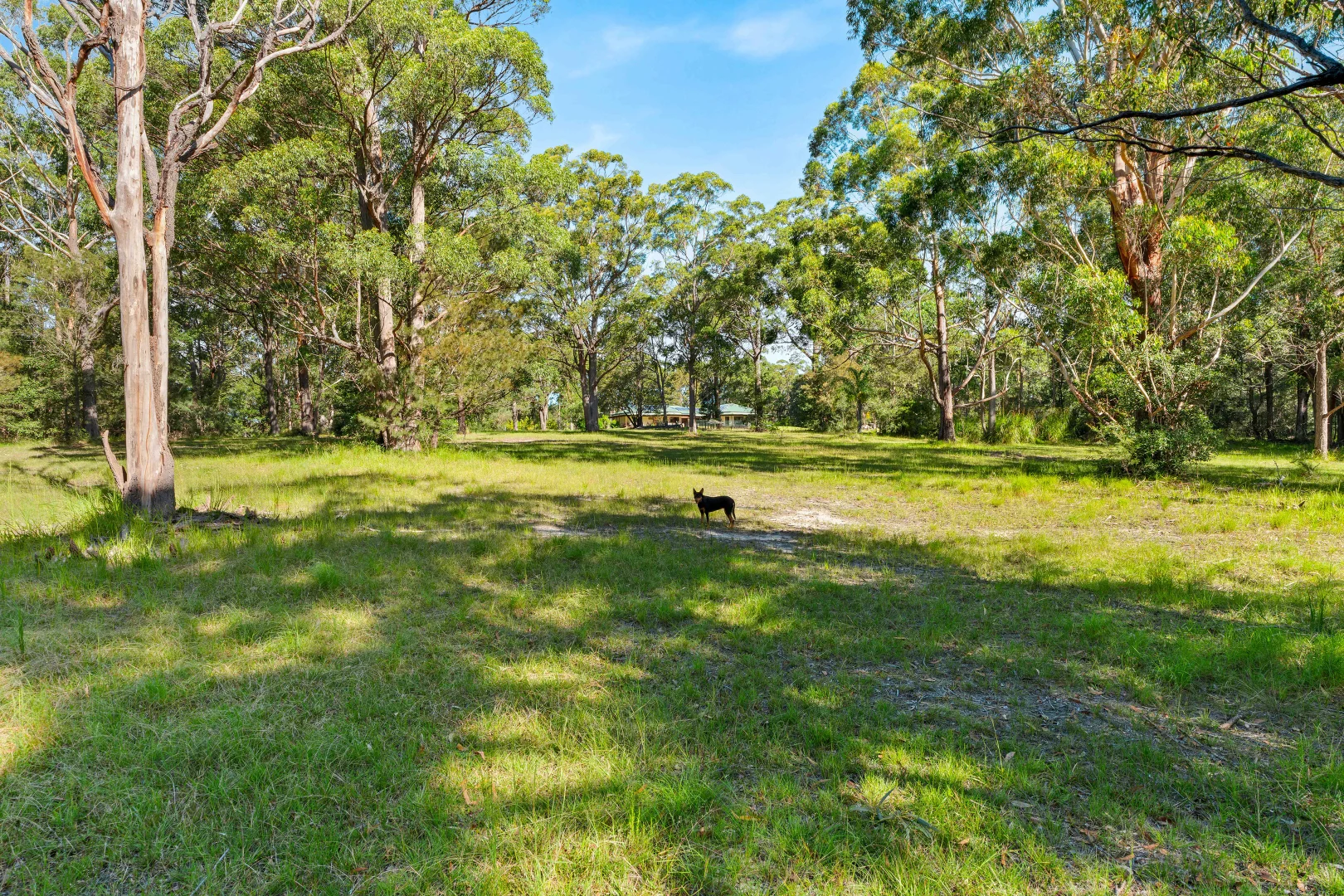 Additional image 45 of 303B Pine Forest Road, Tomerong NSW 2540