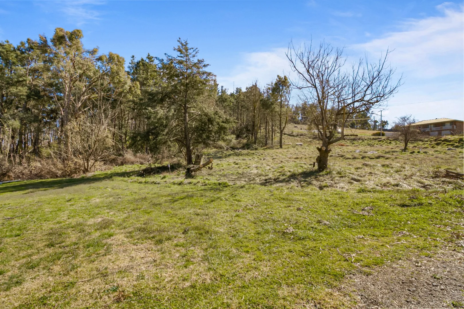 Additional image 4 of 72 Hill Street, Uralla NSW 2358