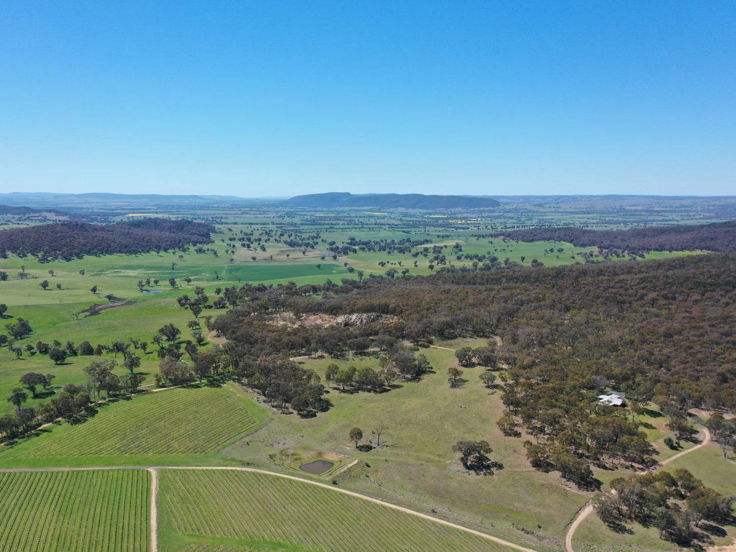 Additional image 31 of 138 Black Range Road, Young NSW 2594