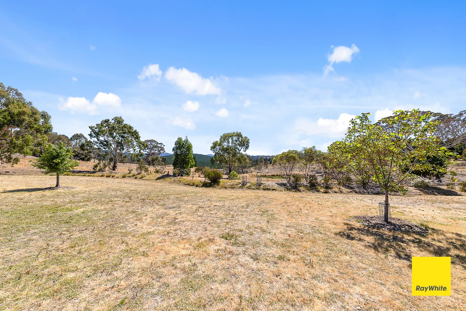 Additional image 20 of 54 Weetalabah Drive, Carwoola NSW 2620