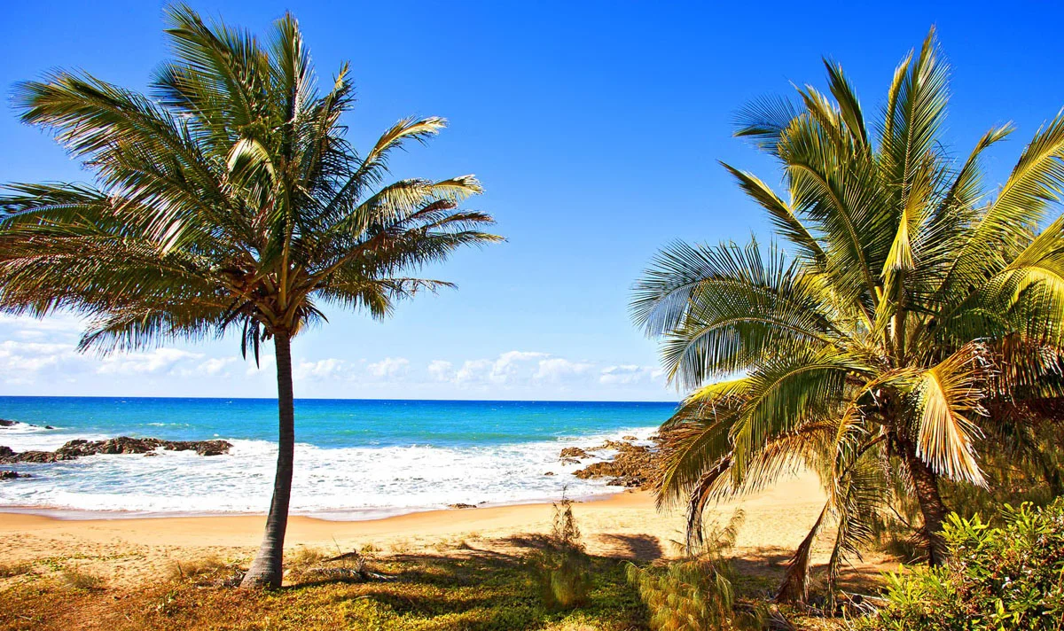 Additional image 2 of 45 Bloodwood Drive, Agnes Water QLD 4677