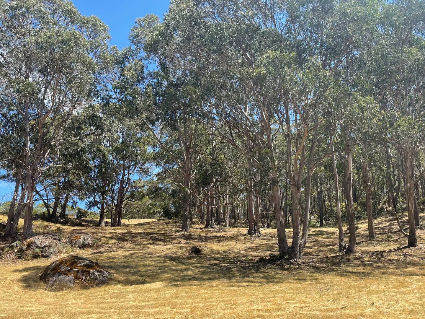 Additional image 14 of Strathbogie VIC 3666