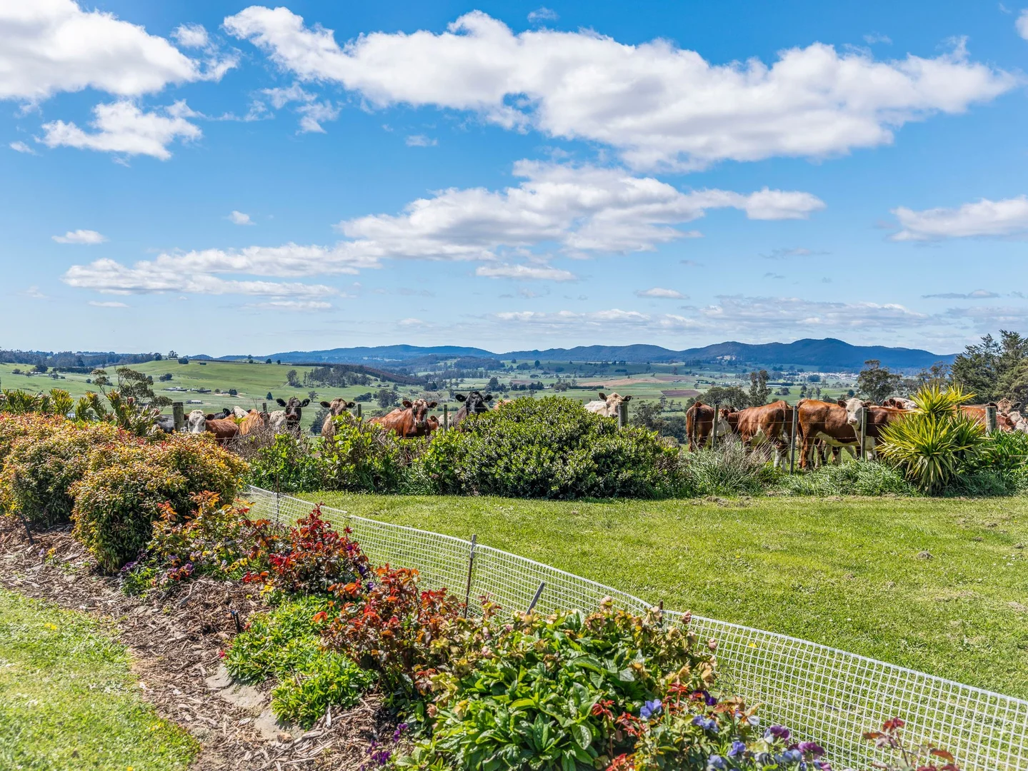 Additional image 27 of 123 Careys Road, West Kentish TAS 7306