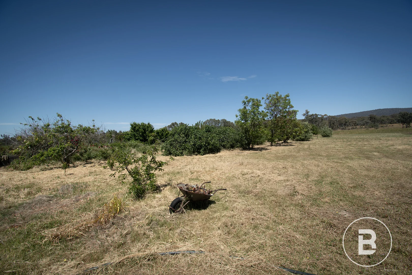 Additional image 16 of 3022 Sunraysia Highway, Moyreisk VIC 3477