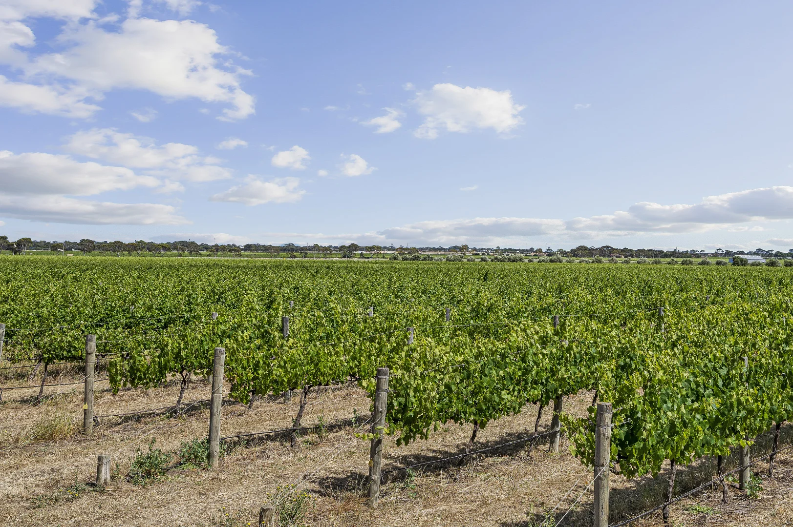 Additional image 7 of Lot 2 Plains Road, Aldinga SA 5173