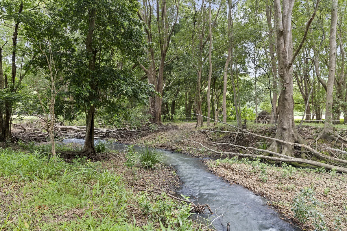 Additional image 26 of 419 Left Bank Road, Mullumbimby NSW 2482