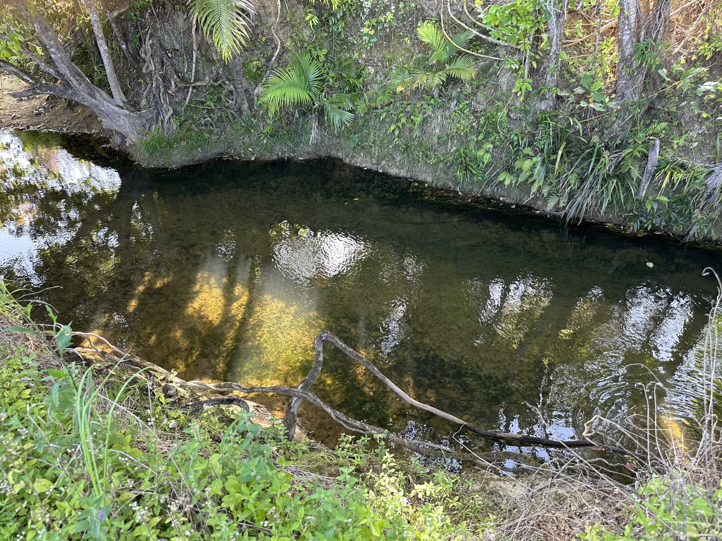 Additional image 6 of Lot 2 Broderick Road, Midgenoo QLD 4854