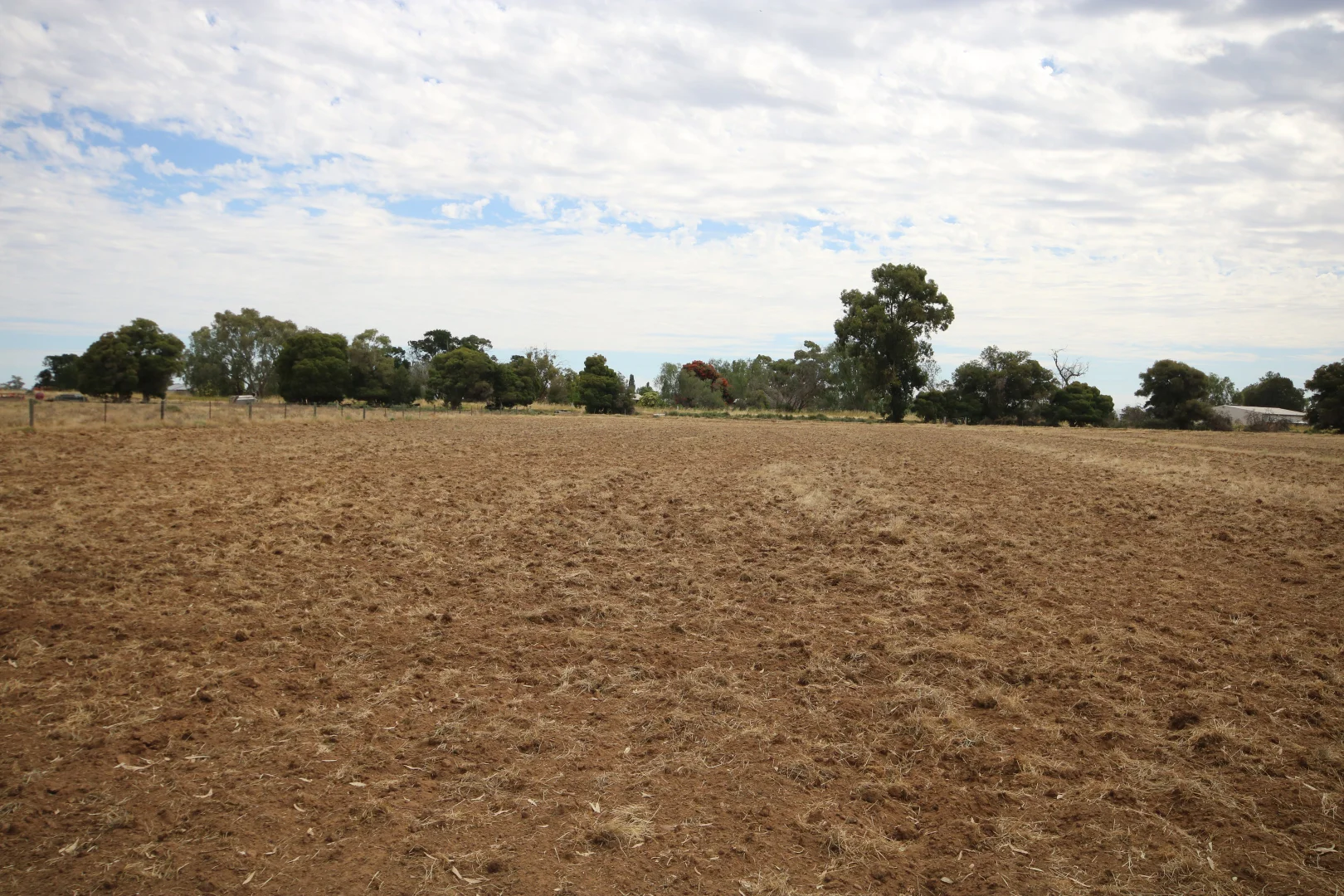 Additional image 10 of 142 Walkers Lane, Barham NSW 2732
