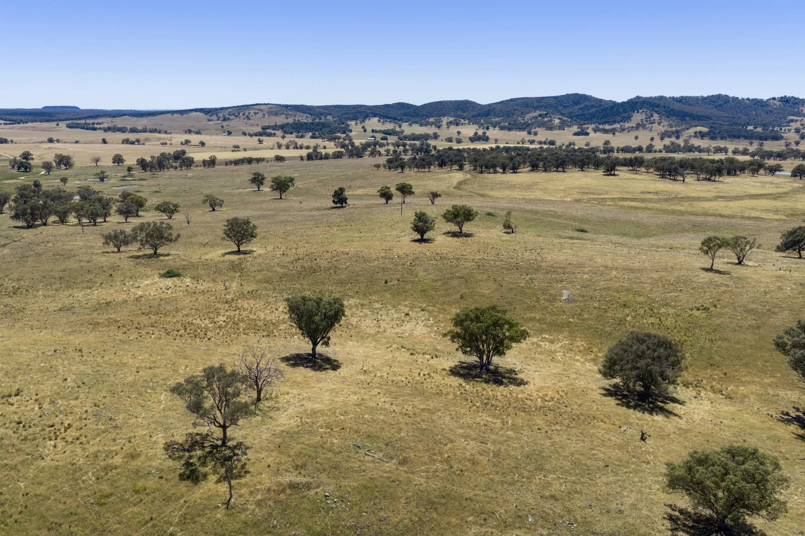 Additional image 12 of Lots 46 & 70, 499 Mebul Road, Gulgong NSW 2852