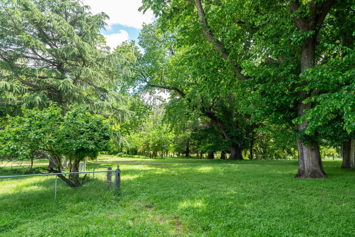 Additional image 12 of 672 Lima East Road, Lima East VIC 3673