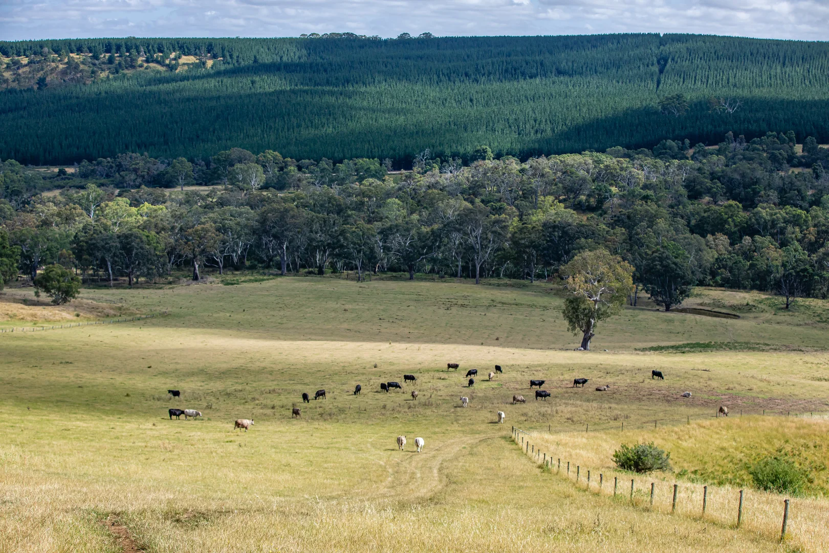Additional image 6 of 93 The Bluff Road, Casterton VIC 3311